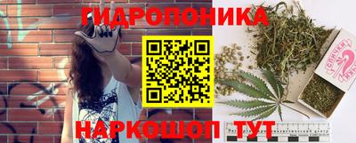 стаф Коммунар