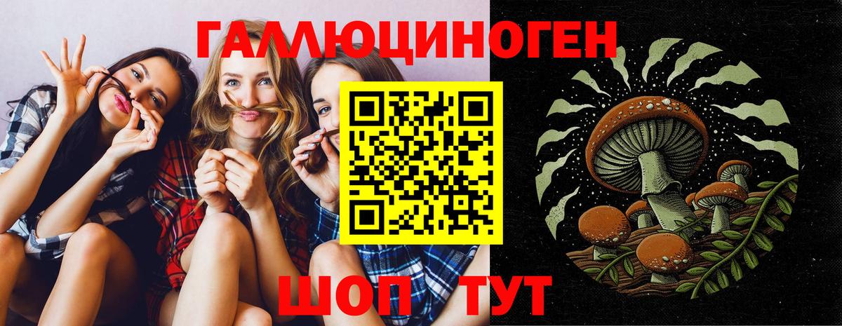 Качканар  Галлюциногенные грибы Magic Shrooms  Вход с VPN  Псилоцибиновые грибы GOLDEN TEACHER 